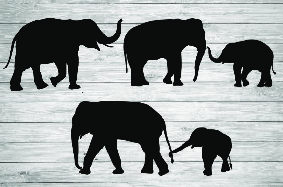 Elephant Silhouette Graphics & Illustrations